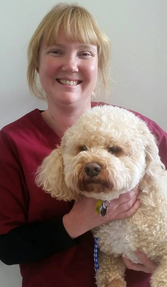 Veterinarians | The Dog Clinic Hobart