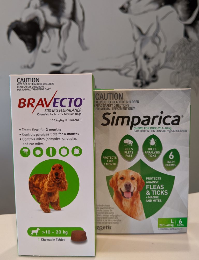 Spring Newsletter 2020 The Dog Clinic Hobart