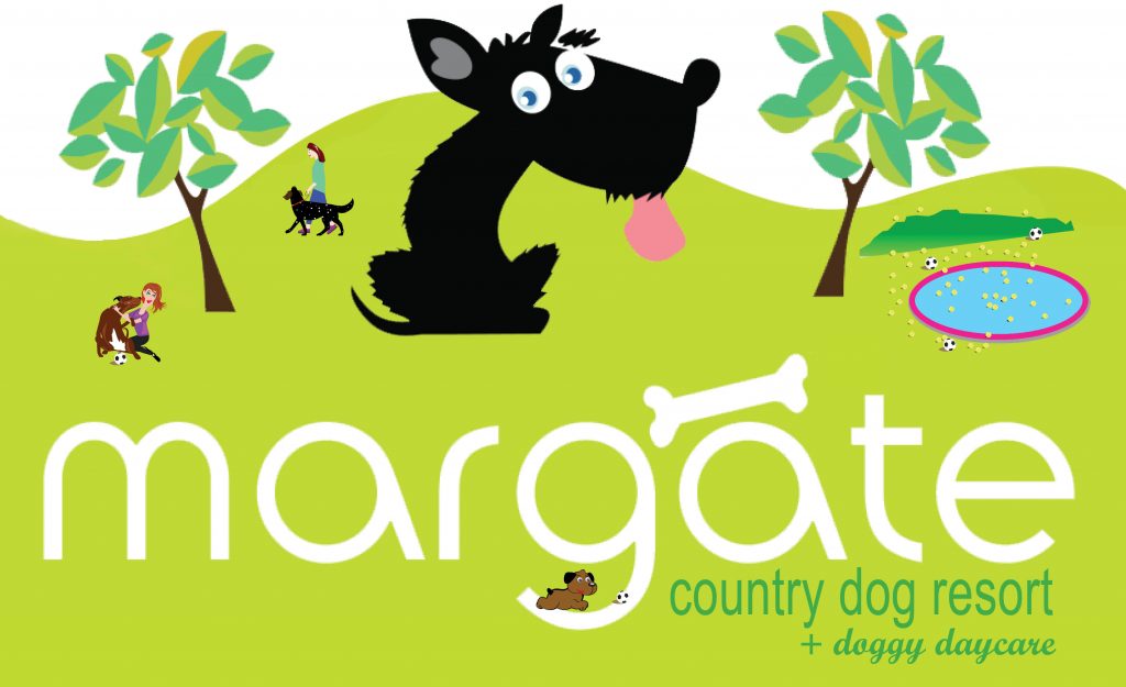 Boarding Advice The Dog Clinic Hobart