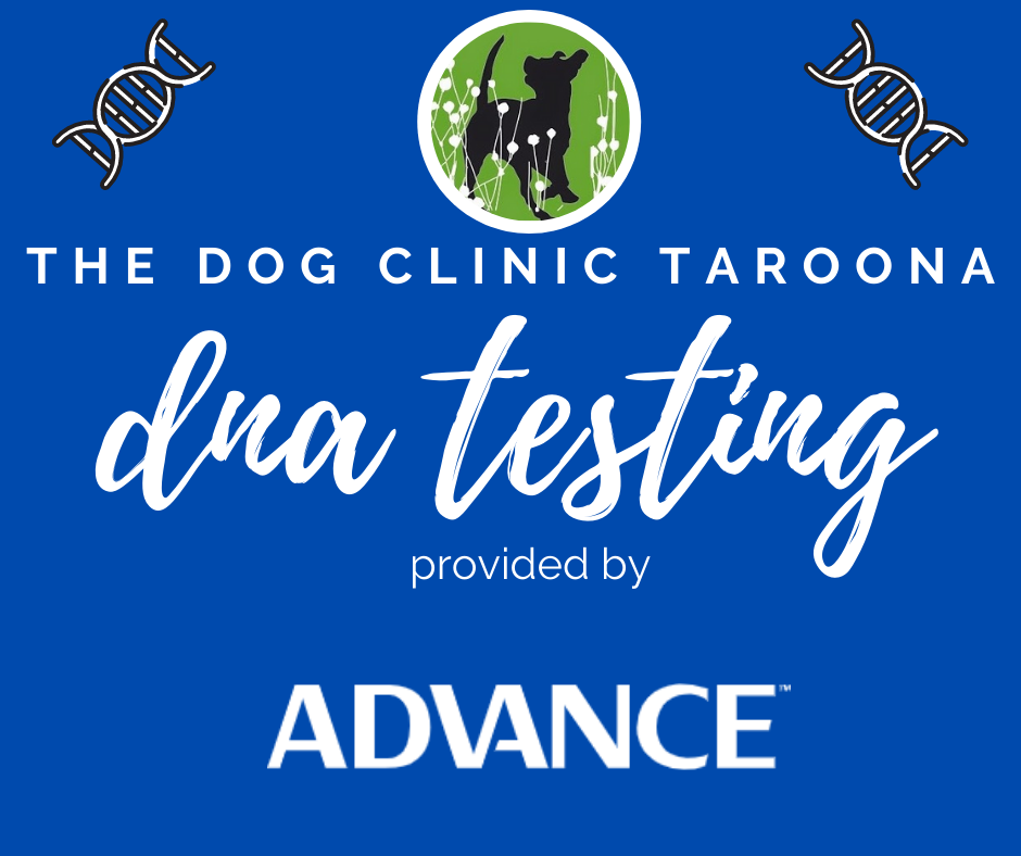 DNA Testing | The Dog Clinic Hobart